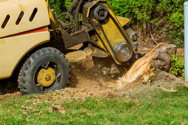 Leaf Removal in Bernardsville, NJ